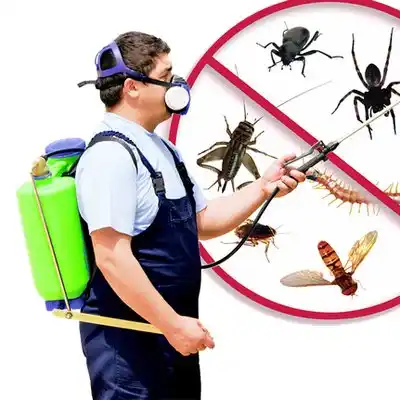 pest control Gothenburg